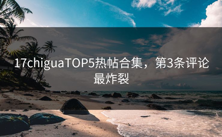 17chiguaTOP5热帖合集，第3条评论最炸裂