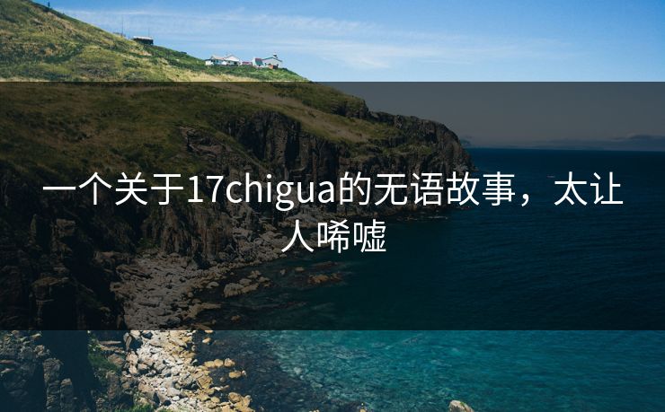 一个关于17chigua的无语故事，太让人唏嘘