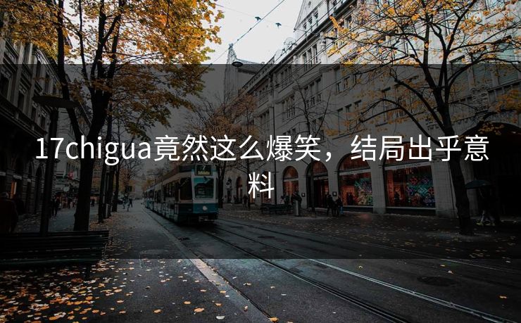 17chigua竟然这么爆笑，结局出乎意料