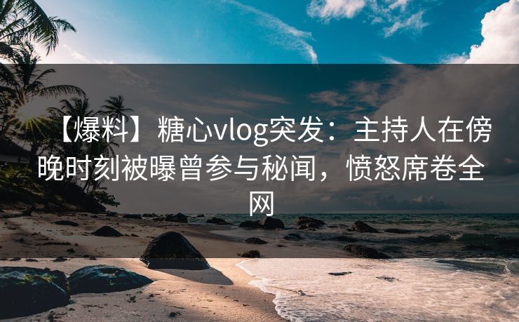 【爆料】糖心vlog突发：主持人在傍晚时刻被曝曾参与秘闻，愤怒席卷全网