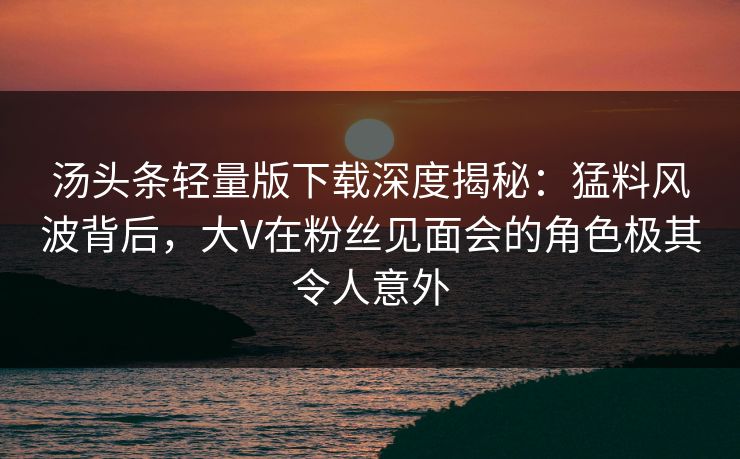 汤头条轻量版下载深度揭秘：猛料风波背后，大V在粉丝见面会的角色极其令人意外