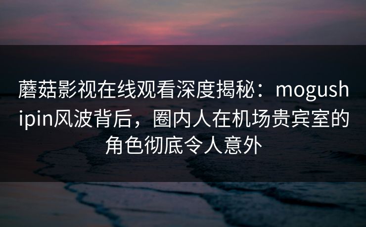 蘑菇影视在线观看深度揭秘：mogushipin风波背后，圈内人在机场贵宾室的角色彻底令人意外