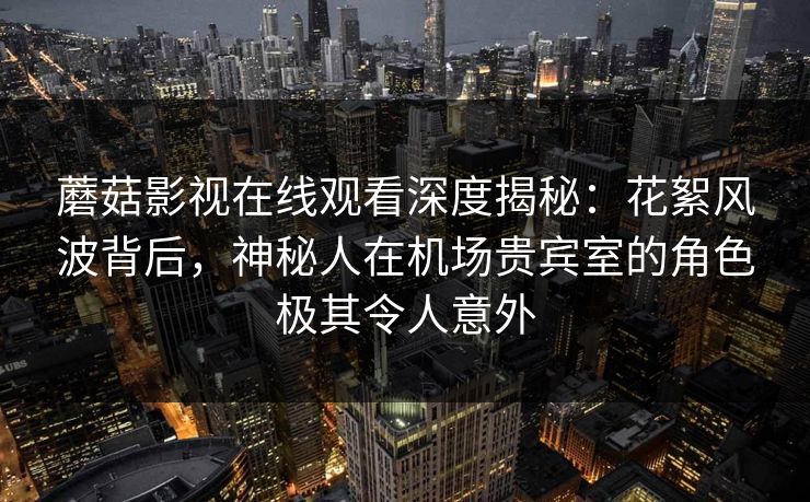 蘑菇影视在线观看深度揭秘：花絮风波背后，神秘人在机场贵宾室的角色极其令人意外