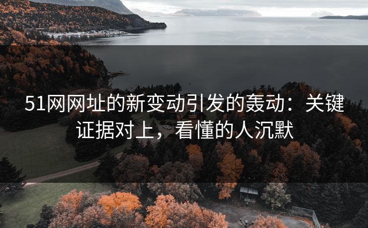 51网网址的新变动引发的轰动：关键证据对上，看懂的人沉默